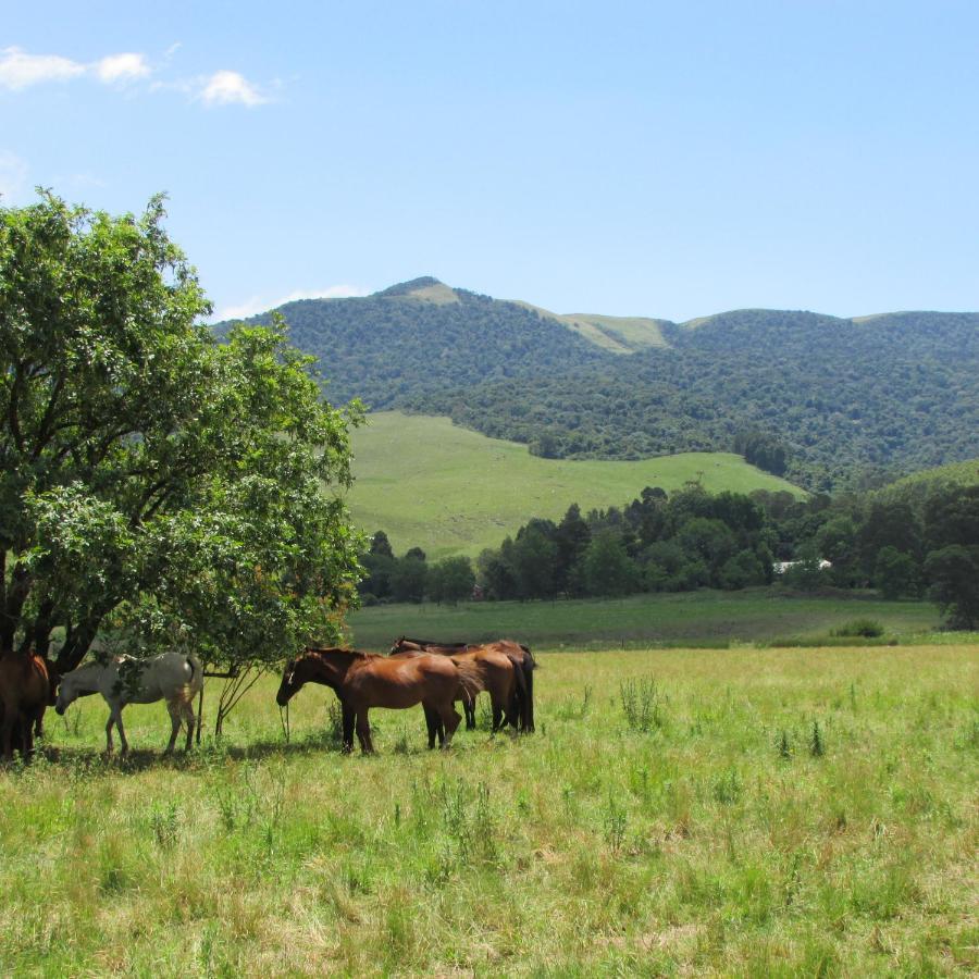 Evergreen Cabin Karkloof Karkloof Nature Reserve Exterior photo