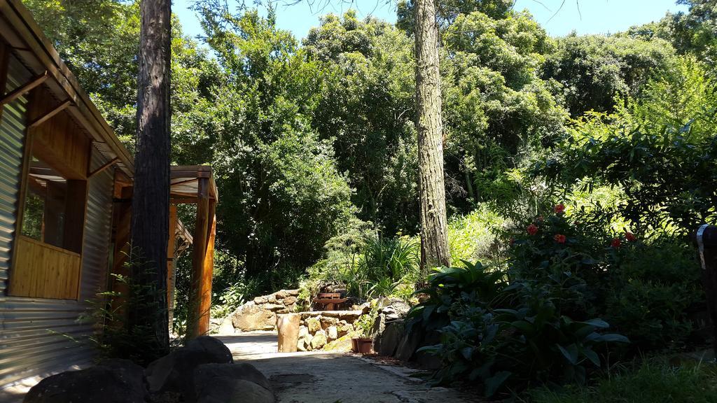 Evergreen Cabin Karkloof Karkloof Nature Reserve Exterior photo